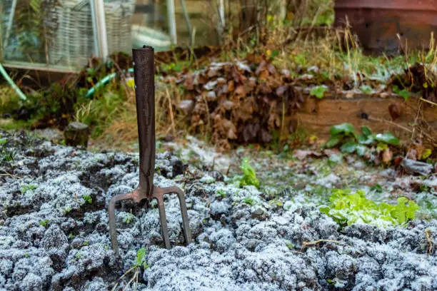 Préparer son potager en hiver : Le guide complet pour réussir